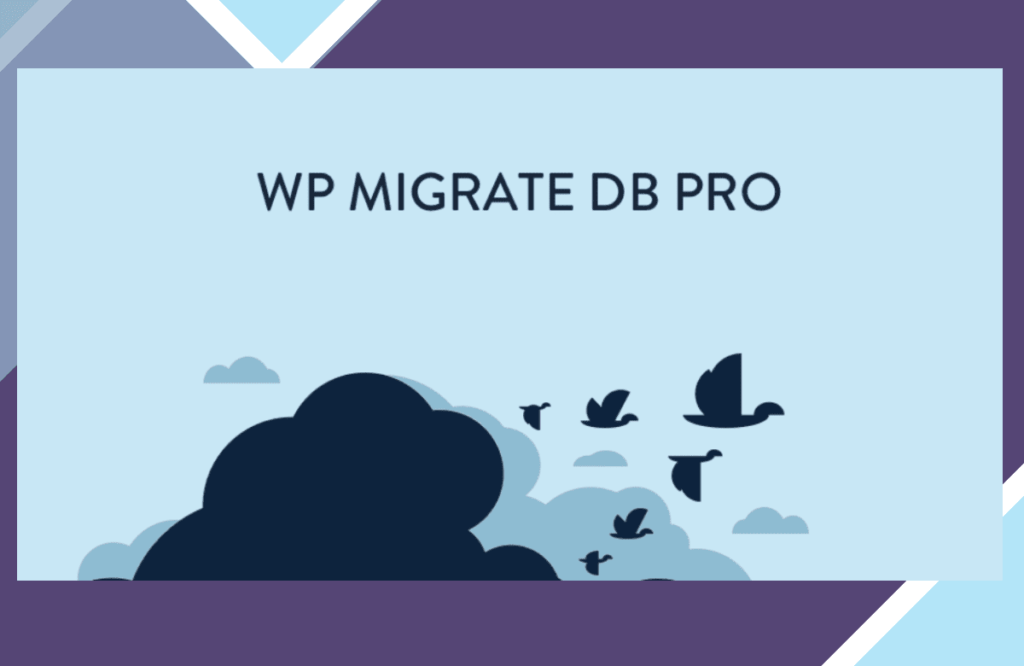 WP Migrate DB Pro